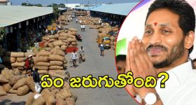 Jagan Guntur tour: గుంటూరు మిర్చియార్డులో జగన్