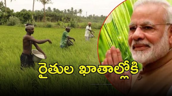 PM Kisan Instalment: రైతులకు శుభవార్త.. ఆ రోజు అకౌంట్ ఇలా చెక్ చేసుకోండి?