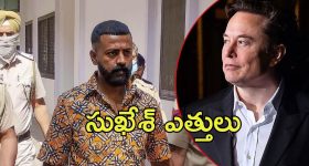 Sukesh Letter Musk: మస్క్‌కు లేఖ రాసిన ఆర్థిక మోసగాడు.. గ్రీన్ సిగ్నల్ ఇస్తే రెడీ అన్న సుఖేశ్