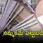 Hyderabad Crime: చదువు లేదు.. 100 కోట్లకు కుచ్చుటోపి, అదెలా సాధ్యం