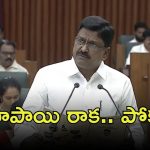 AP Budget 2025-26: ఏపీ బడ్జెట్.. ఆ శాఖకు భారీ కేటాయింపులు
