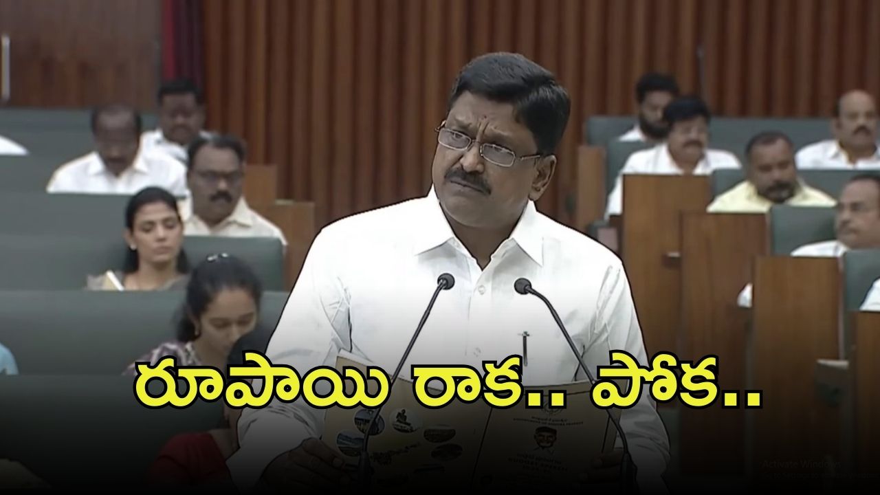 AP Budget 2025-26: ఏపీ బడ్జెట్.. ఆ శాఖకు భారీ కేటాయింపులు