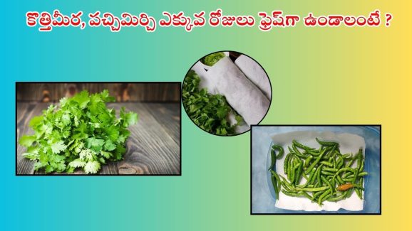 Storage Tips: ఇలా నిల్వ చేస్తే.. కొత్తిమీర, పచ్చి మిర్చి 15 రోజులైనా ఫ్రెష్‌గా ఉంటాయ్ !