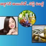 Organic Hair Oil: 30 రోజులు ఈ ఆర్గానిక్ హెయిర్ ఆయిల్ వాడితే.. జుట్టు ఊడమన్నా ఊడదు!