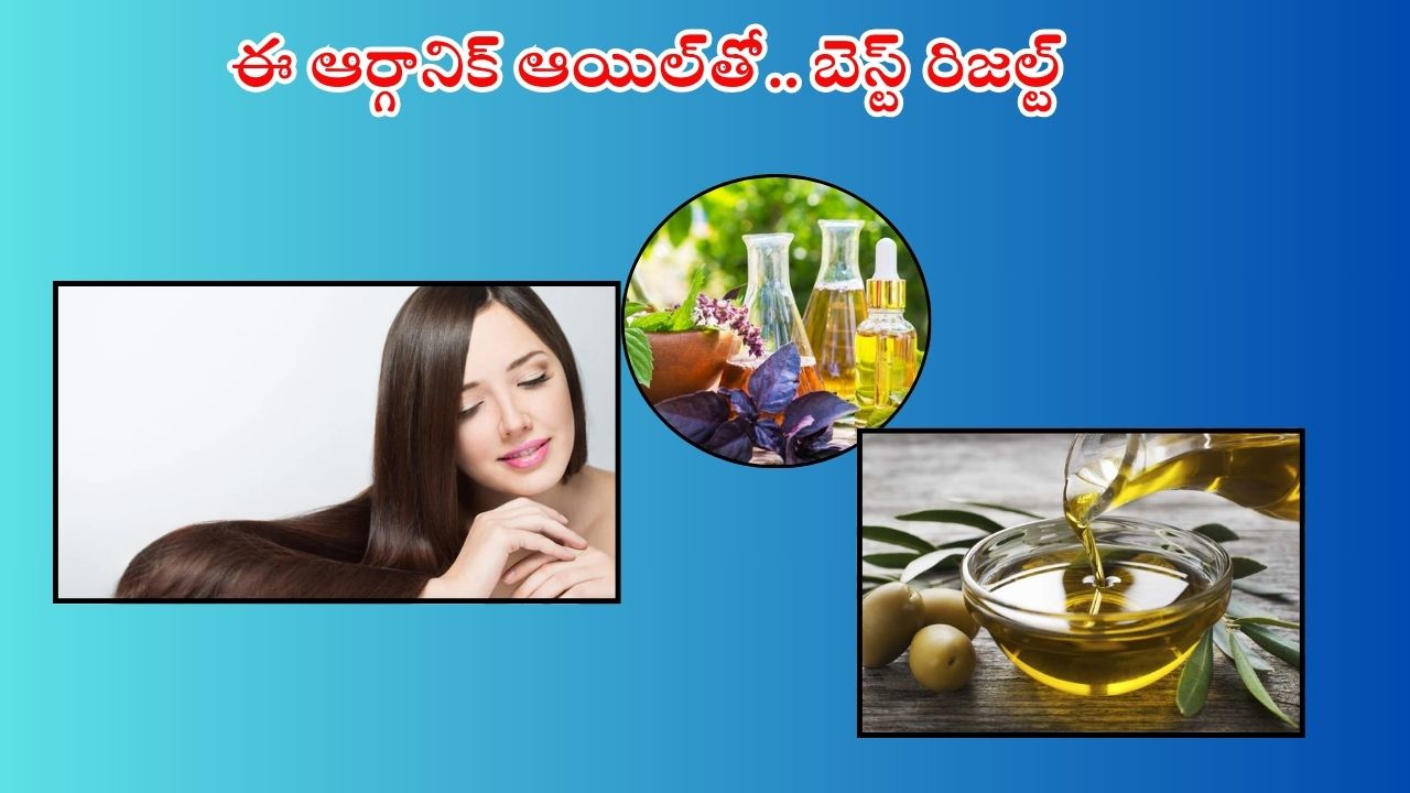Organic Hair Oil: 30 రోజులు ఈ ఆర్గానిక్ హెయిర్ ఆయిల్ వాడితే.. జుట్టు ఊడమన్నా ఊడదు!