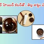 Natural Hair Colour: ఈ నేచురల్ హెయిర్ కలర్‌తో తెల్ల జుట్టు నల్లగా మారడం పక్కా !