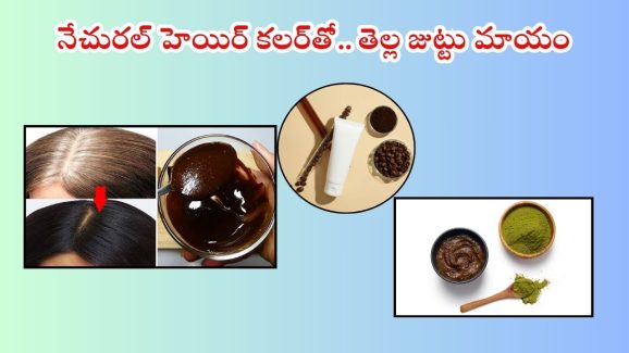 Natural Hair Colour: ఈ నేచురల్ హెయిర్ కలర్‌తో తెల్ల జుట్టు నల్లగా మారడం పక్కా !