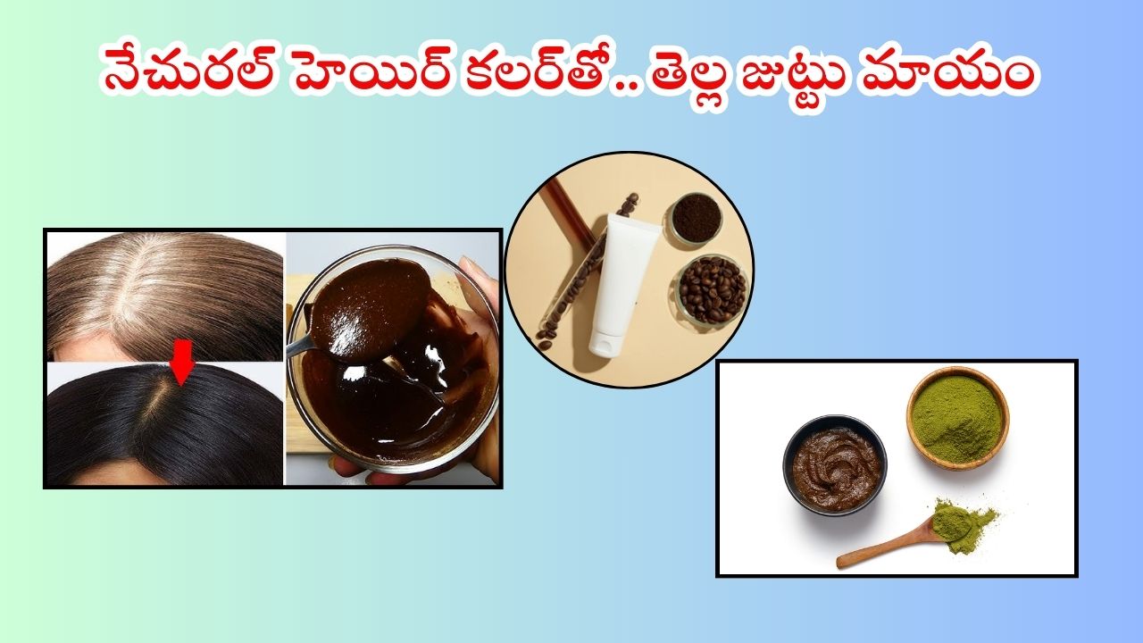Natural Hair Colour: ఈ నేచురల్ హెయిర్ కలర్‌తో తెల్ల జుట్టు నల్లగా మారడం పక్కా !