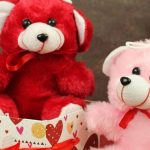 Teddy Day 2025: ఏ రంగు టెడ్డీ బేర్.. దేనికి సంకేతమో తెలుసా ?