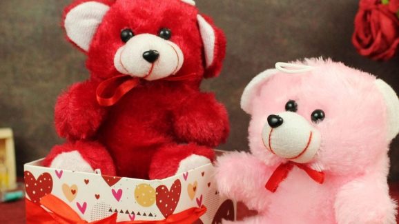 Teddy Day 2025: ఏ రంగు టెడ్డీ బేర్.. దేనికి సంకేతమో తెలుసా ?