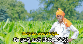 Farmers Benefit Schemes: రైతన్నలకు పెన్షన్.. ఇలా చేస్తే చాలు..