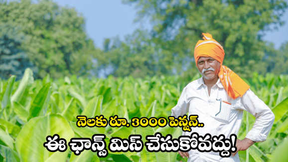 Farmers Benefit Schemes: రైతన్నలకు పెన్షన్.. ఇలా చేస్తే చాలు..