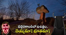 Beetroot For White hair: బీట్ రూట్ రసంతో భలే మ్యాజిక్.. ఇలా చేస్తే తెల్ల జుట్టు మాయం..!