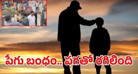 Ruhani Sharma: బెడ్‌పై రుహానీ శర్మ అందాలు ఆరబోత.. మరీ ఇలా రెచ్చిపోతే కుర్రకారుకు కష్టమే.!