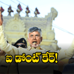 CM Chandrababu: ఆ కామెంట్స్ పట్టించుకోను.. సీఎం చంద్రబాబు సీరియస్