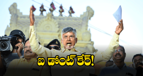 CM Chandrababu: ఆ కామెంట్స్ పట్టించుకోను.. సీఎం చంద్రబాబు సీరియస్
