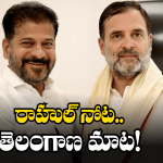 Rahul Gandhi: తెలంగాణలో సక్సెస్.. దేశవ్యాప్తంగా సర్వే సాగించలేరా? రాహుల్ గాంధీ ప్రశ్న
