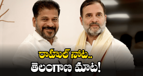 Rahul Gandhi: తెలంగాణలో సక్సెస్.. దేశవ్యాప్తంగా సర్వే సాగించలేరా? రాహుల్ గాంధీ ప్రశ్న