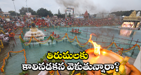Tirumala Alert: అలిపిరి నడక మార్గంలో చిరుతల సంచారం.. మధ్యాహ్నం తర్వాత వారికి నో ఎంట్రీ