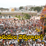 Tirumala Darshan Update Today: తిరుమలలో పెరిగిన భక్తుల రద్దీ.. దర్శన సమాచారం మీకోసమే