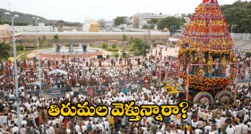Tirumala Darshan Update Today: తిరుమలలో పెరిగిన భక్తుల రద్దీ.. దర్శన సమాచారం మీకోసమే