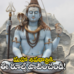 Maha Shivaratri 2025: మహా శివరాత్రికి ఏర్పాట్లు.. వీటి అమ్మకాలు నిషేధం..