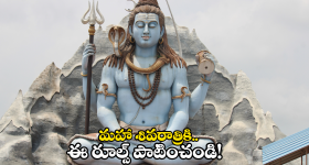 Maha Shivaratri 2025: మహా శివరాత్రికి ఏర్పాట్లు.. వీటి అమ్మకాలు నిషేధం..