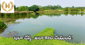 Tech Mahindra Jobs: టెక్ మహీంద్రా కంపెనీలో ఉద్యోగాలు.. త్వరపడండి..