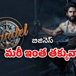 Thandel Movie Business : పేరుకే పెద్ద సినిమా… బిజినెస్ మాత్రం చాలా చిన్నది