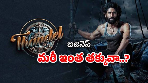 Thandel Movie Business : పేరుకే పెద్ద సినిమా… బిజినెస్ మాత్రం చాలా చిన్నది