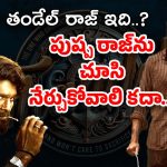 Naga Chaitanya : ఇదేక్కడి తలనొప్పి… మూవీకి తండేల్ రాజే మైనసా..?