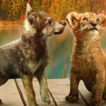 OTT Movie : సింహం, తోడేలు తో స్నేహం చేసే అమ్మాయి… ఫ్యూజులు అవుట్ అయ్యే అడ్వెంచర్ మూవీ