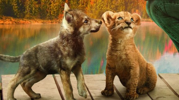 OTT Movie : సింహం, తోడేలు తో స్నేహం చేసే అమ్మాయి… ఫ్యూజులు అవుట్ అయ్యే అడ్వెంచర్ మూవీ