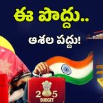 Union Budget 2025: బడ్జెట్‌పై కోటి ఆశలు..పేద, మధ్యతరగతి ప్రజలకు నిర్మలమ్మ గుడ్‌న్యూస్‌ చెబుతారా..?