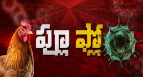 Elon Musk Sam Altman Tweet: మీ ఓపెన్ఎయి విక్రయిస్తారా?.. లేదు మీ ట్విట్టర్ కొంటాం.. మస్క్, ఆల్ట్‌మెన్ మధ్య ట్వీట్ల యుద్ధం