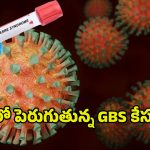 GBS Virus In AP: ఏపీలో రోజు రోజుకి పెరుగుతున్న GBS కేసులు.. ఆందోళనలో ప్రజలు