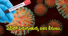 GBS Virus In AP: ఏపీలో రోజు రోజుకి పెరుగుతున్న GBS కేసులు.. ఆందోళనలో ప్రజలు