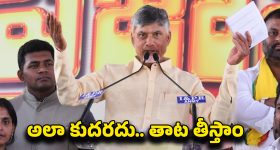 CM Chandrababu: చెత్తను తొలగిస్తున్నాం.. సీఎం చంద్రబాబు