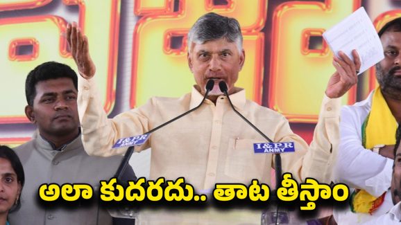 CM Chandrababu: చెత్తను తొలగిస్తున్నాం.. సీఎం చంద్రబాబు