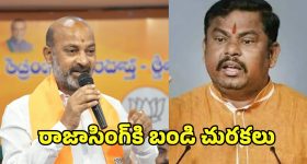 Chhaava : థియేటర్లలో గుర్రంపై రియల్ శంభాజీ సందడి... ఈ వీడియోలో చూడండి