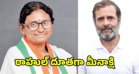 Meenakshi Natarajan: మేడం వేరే లెవల్.. కాంగ్రెస్ నేతల్లో కొత్త టెన్షన్