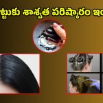 White Hair Tips: ఈ హెయిర్ మాస్క్‌తో తెల్ల జుట్టుకు.. గుడ్ బై చెప్పండిలా..!