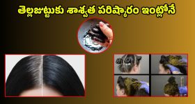 White Hair Tips: ఈ హెయిర్ మాస్క్‌తో తెల్ల జుట్టుకు.. గుడ్ బై చెప్పండిలా..!