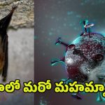 New Bat Coronavirus: చైనాలో మరో కరోనా వైరస్.. మళ్లీ చావులేనా?