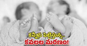 Bhupalpally Tragedy: ట్విన్స్ డే రోజు విషాదం.. పాలు తాగి కవల పిల్లలు మరణం