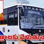 TGSRTC Special Buses: మహా శివరాత్రికి 3 వేల ప్రత్యేక బస్సులు.. టికెట్ ధర ఎంత పెంచారంటే?