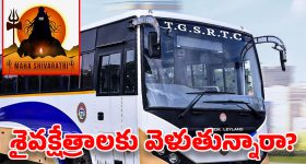TGSRTC Special Buses: మహా శివరాత్రికి 3 వేల ప్రత్యేక బస్సులు.. టికెట్ ధర ఎంత పెంచారంటే?