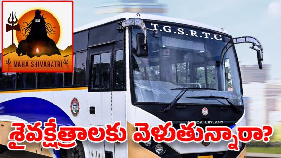 TGSRTC Special Buses: మహా శివరాత్రికి 3 వేల ప్రత్యేక బస్సులు.. టికెట్ ధర ఎంత పెంచారంటే?