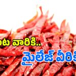 TDP vs YCP on Mirchi: మిర్చి ధరలపై కేంద్రం గుడ్ న్యూస్.. ఈ క్రెడిట్ జగన్ దేనా?