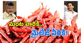 TDP vs YCP on Mirchi: మిర్చి ధరలపై కేంద్రం గుడ్ న్యూస్.. ఈ క్రెడిట్ జగన్ దేనా?